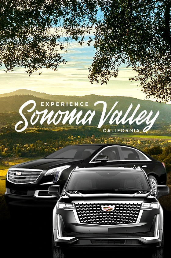 SF To Sonoma Valley Wine Tours
